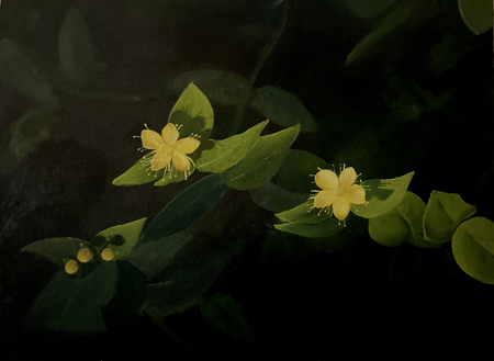 Untitled 2